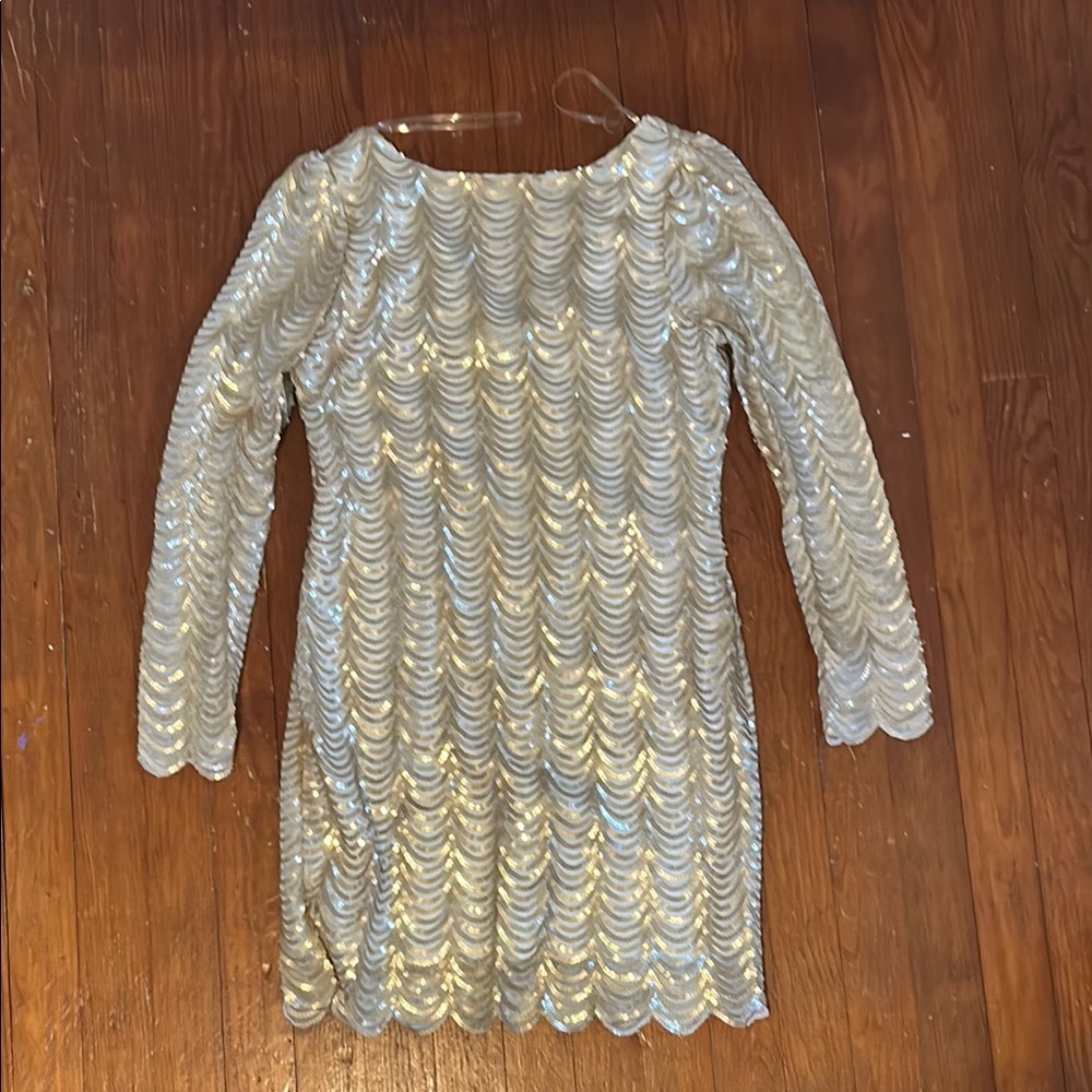 Shimmering Sequin Long Sleeve Dress